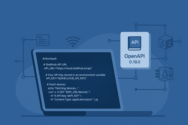 Terminal using ShellHub API with OpenAPI 0.19.0 for secure, automated remote device access.